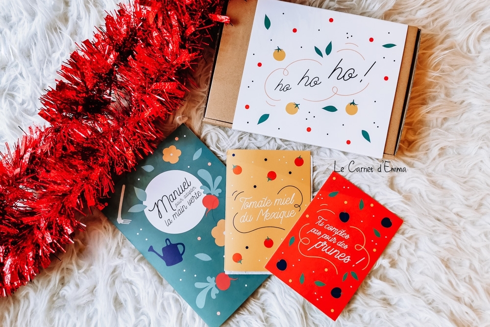 10 idées cadeaux pour les Adultes - Le Carnet d'Emma  Liste de cadeaux de  noël, Cadeau de noel original, Cadeau noel fait main
