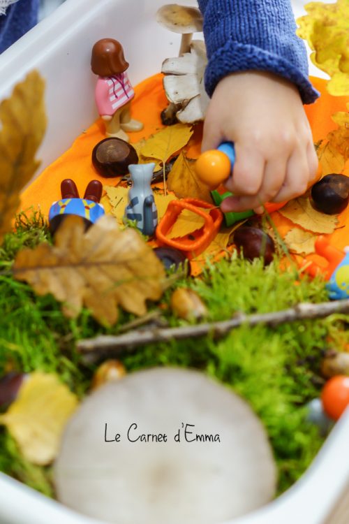 bac sensoriel d'automne, activité enfant, montessori