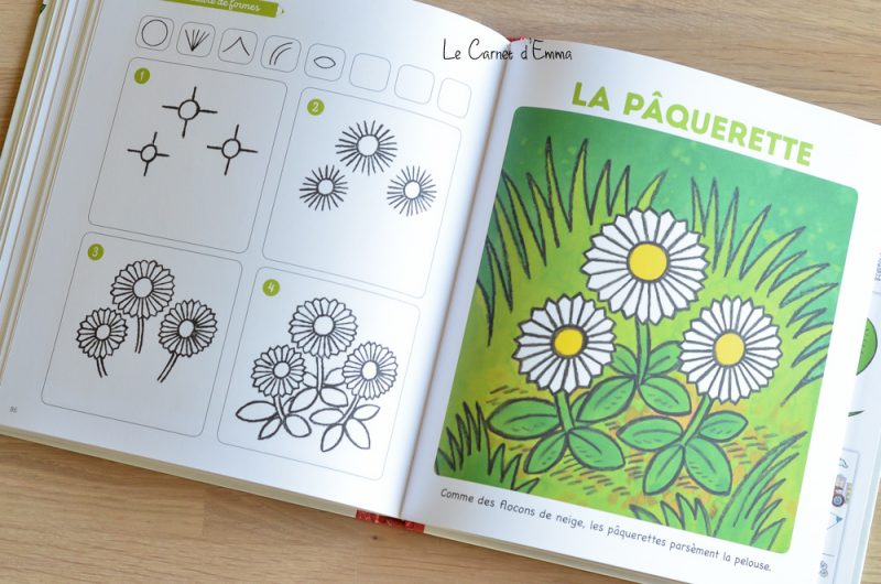 Livres pour apprendre à dessiner avec la méthode Philippe legendre édition fleurus j'apprends à dessiner
