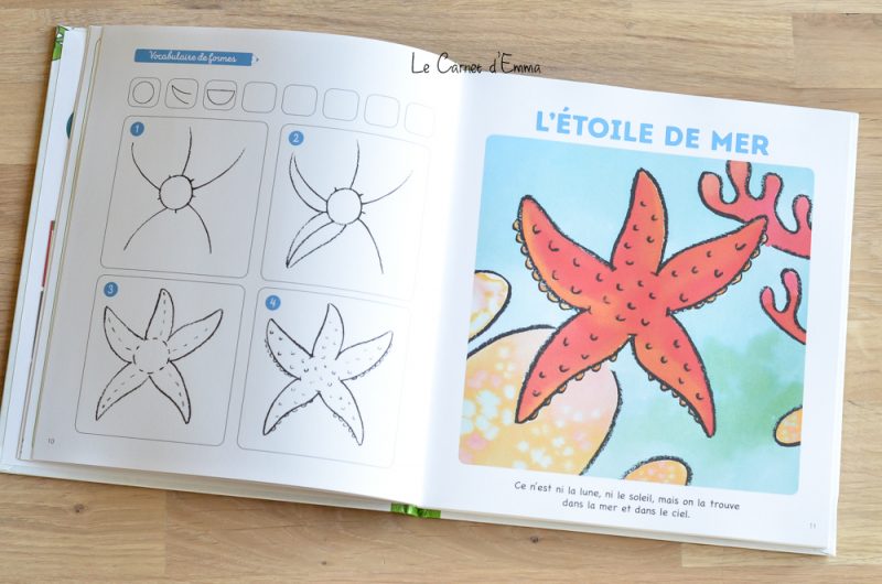 Livres pour apprendre à dessiner avec la méthode Philippe legendre édition fleurus j'apprends à dessiner