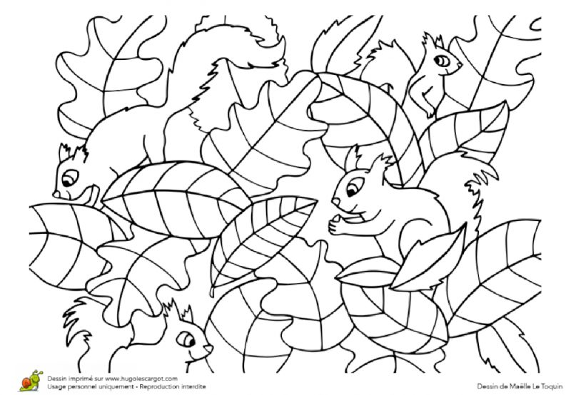 Coloriages d'Automne - Le Carnet d'Emma