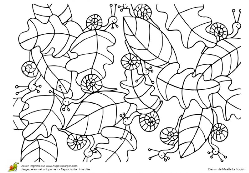 Coloriages d'Automne - Le Carnet d'Emma