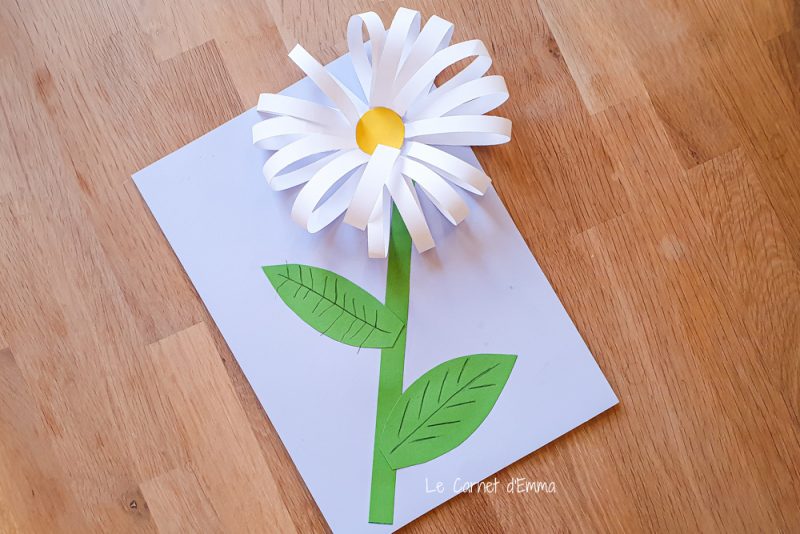 activité manuelle pour les enfants. Création d'une fleure, une marguerite , avec du papier. Activité découpage et collage. Activité colorée et fun sur le thème du printemps